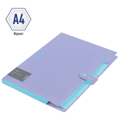 Папка 5 отделений Berlingo "Haze", А4, 600мкм, на кнопке, сиреневая, софт-тач- купить в магазине Кассандра, фото, 4260709080369, 