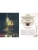 Импортировано из Wildberries Импортировано из Wildberries