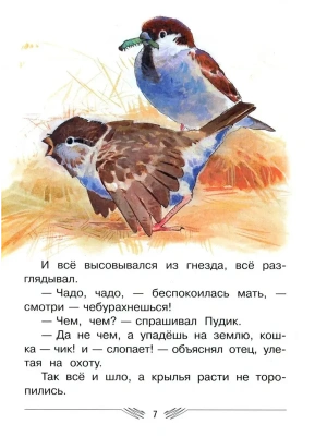 Импортировано из Wildberries