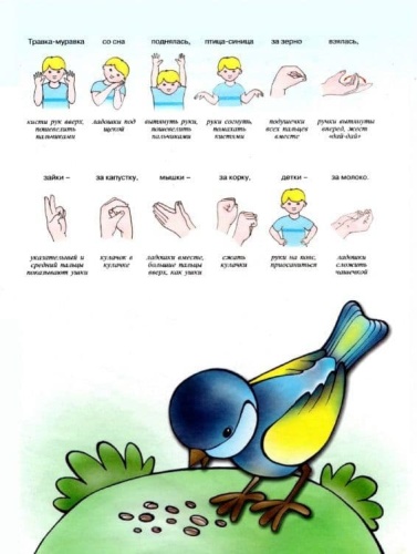 Игры с пальчиками. Здравствуй, пальчик. Развитие мелкой моторики рук детей 3-5 лет- купить в магазине Кассандра, фото, 9785971506256, 