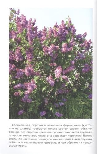 Энциклопедия садовой обрезки- купить в магазине Кассандра, фото, 9785171527327, 