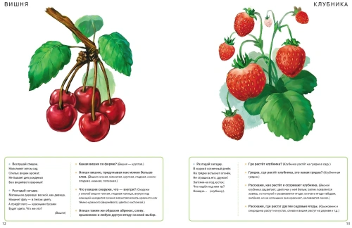 Тематич.слов.в картин.:Мир растений и грибов.Грибы,ягоды- купить в магазине Кассандра, фото, 9785921906389, 
