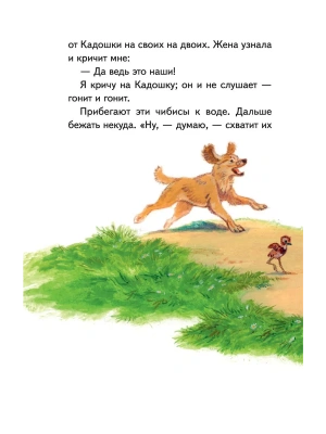 Импортировано из Wildberries