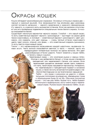 Фотография из отзыва покупателя