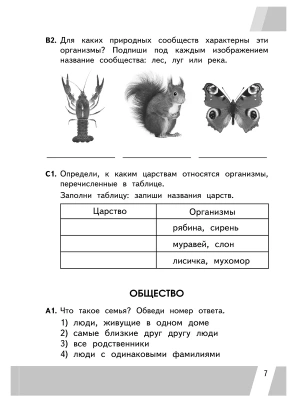 Импортировано из Wildberries