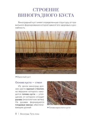 Импортировано из Wildberries