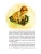 Импортировано из Wildberries Импортировано из Wildberries