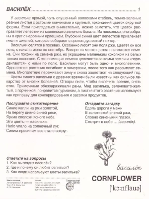 Импортировано из Wildberries