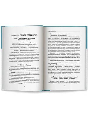 Фотография из отзыва покупателя