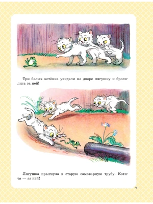 Фотография из отзыва покупателя