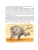 Импортировано из Wildberries Импортировано из Wildberries
