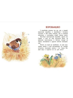 Импортировано из Wildberries