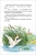 Русские сказки, загадки и пословицы- купить в магазине Кассандра, фото, 9785353106876, 