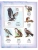 Импортировано из Wildberries Импортировано из Wildberries