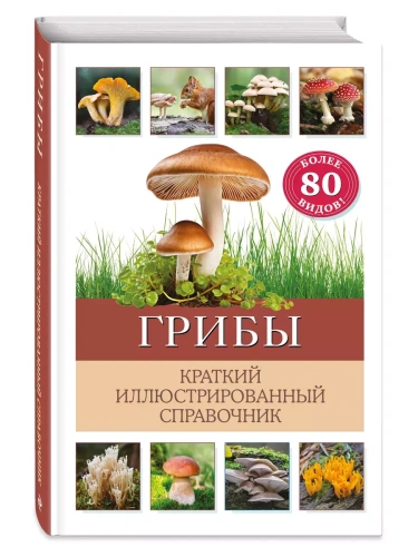 Грибы. Краткий иллюстрированный справочник- купить в магазине Кассандра, фото, 9785041931452, 
