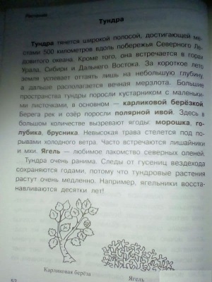СПРАВОЧНИК. Растения: деревья, кустар. , травы- купить в магазине Кассандра, фото, , 