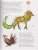 Импортировано из Wildberries Импортировано из Wildberries