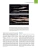 Фотография из отзыва покупателя Фотография из отзыва покупателя