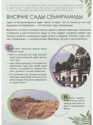 Импортировано из Wildberries