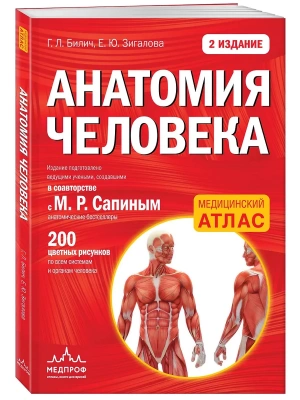 Анатомия человека: 2 издание- купить в магазине Кассандра, фото, 9785699846238, 