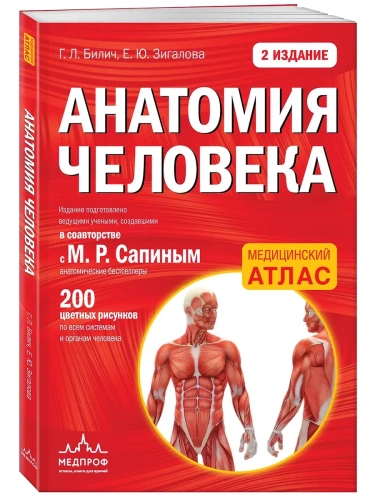 Анатомия человека: 2 издание- купить в магазине Кассандра, фото, 9785699846238, 