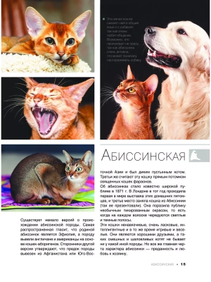 Фотография из отзыва покупателя