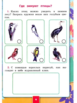 Импортировано из Wildberries