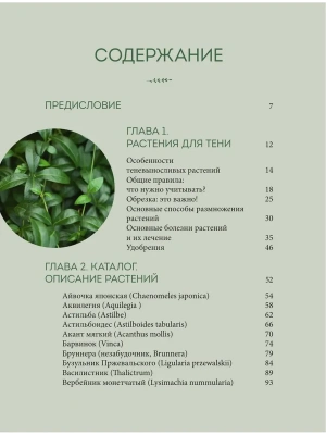 Фотография из отзыва покупателя