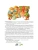 Импортировано из Wildberries Импортировано из Wildberries