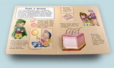 Что? Почему? Зачем?  Наши органы чувств (36 окошек)- купить в магазине Кассандра, фото, 9785465041287, 