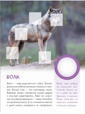 Импортировано из Wildberries