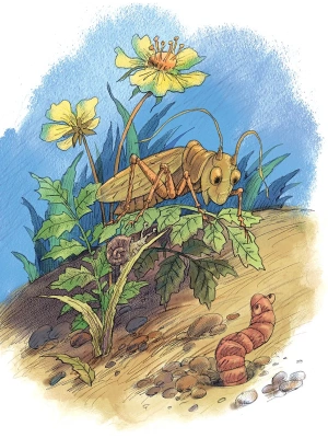 Импортировано из Wildberries