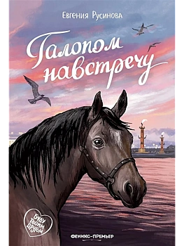 Галопом навстречу — фото, ISBN 9785222433942