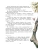 Импортировано из Wildberries Импортировано из Wildberries