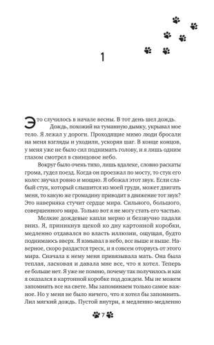Она и ее кот- купить в магазине Кассандра, фото, 9785171456061, 