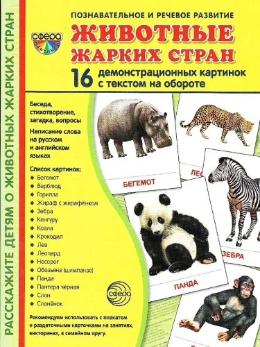 Дем. картинки СУПЕР Животные жарких стран.16 демонстр.картинок с текстом(173х220мм)- купить в магазине Кассандра, фото, 9785994909768, 