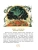 Импортировано из Wildberries Импортировано из Wildberries