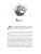 Импортировано из Wildberries Импортировано из Wildberries