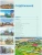 Импортировано из Wildberries Импортировано из Wildberries