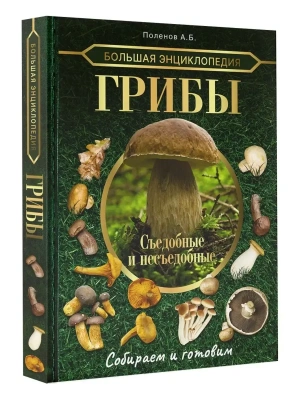 Большая энциклопедия. Грибы. Съедобные и несъедобные. Собираем и готовим.- купить в магазине Кассандра, фото, 9785171495602, 
