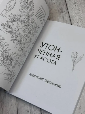 Импортировано из Wildberries