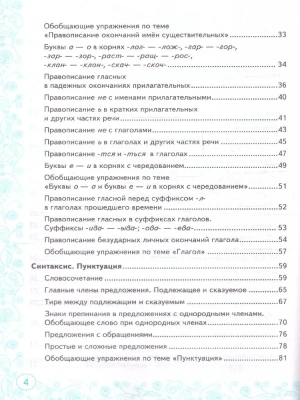 Русский язык 5 класс Ладыженская. Тренажер. ФГОС НОВЫЙ (к новому учебнику)- купить в магазине Кассандра, фото, 9785377198024, 