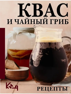 Квас и чайный гриб. Рецепты- купить в магазине Кассандра, фото, 9785171818586, 
