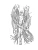 Импортировано из Wildberries Импортировано из Wildberries