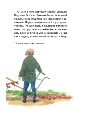 Импортировано из Wildberries