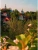 Импортировано из Wildberries Импортировано из Wildberries