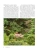 Импортировано из Wildberries Импортировано из Wildberries