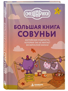 Большая книга Совуньи. Житейские мудрости, которых так не хватает во взрослой жизни — фото, ISBN 9785042480539