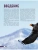 Импортировано из Wildberries Импортировано из Wildberries