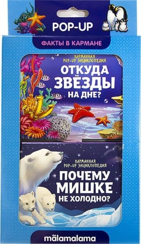Набор Факты в кармане. Откуда звёзды на дне и почему мишке не холодно?- купить в магазине Кассандра, фото, 9785001341154, 